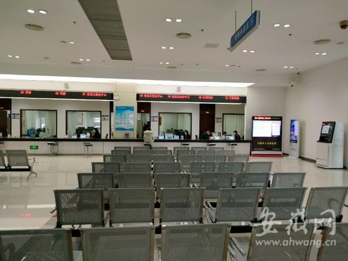 虎年開(kāi)工首日探訪 安徽省政務(wù)服務(wù)中心窗口人員堅(jiān)守崗位，熱情服務(wù)暖人心